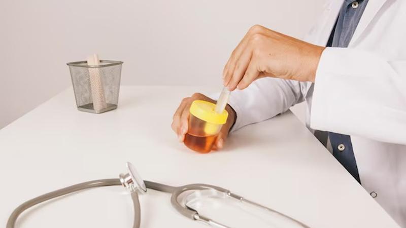 How Maine's Functional Medicine Approach is Revolutionizing Health and Wellness