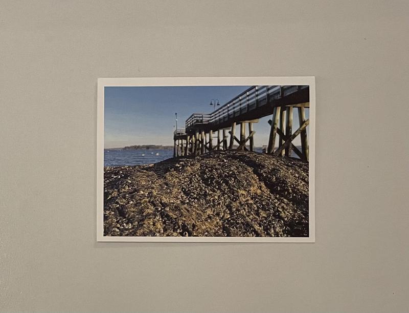 Gratitude for Maine Spring Note Card Set, card 6 with a Maine spring photo