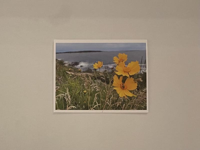 Gratitude for Maine Summer Note Card Set, card 1 with a Maine summer photo