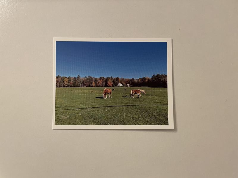 Gratitude for Maine Fall Note Card Set, card 1 with a Maine fall photo
