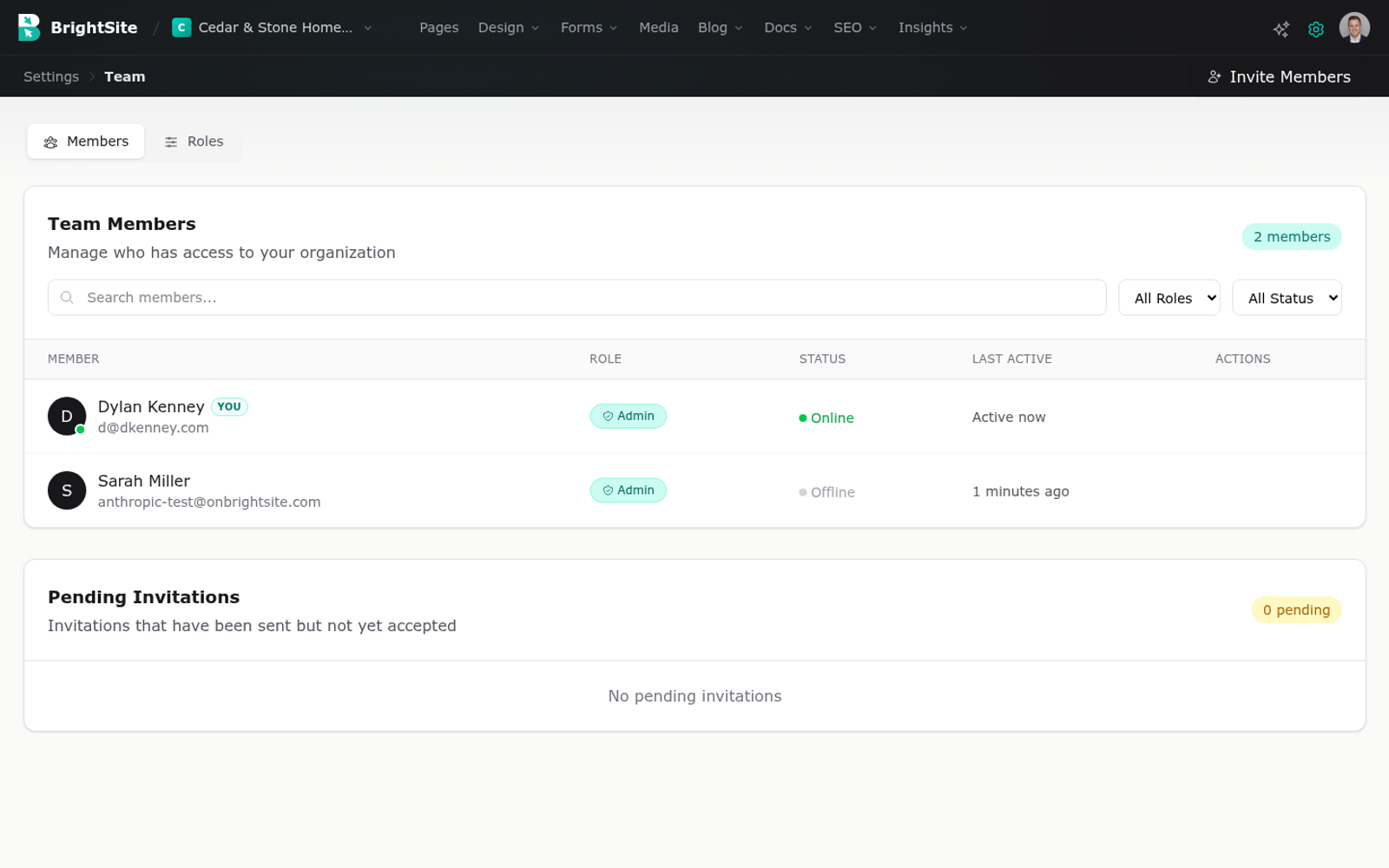 The Team screen listing members with their roles and status.