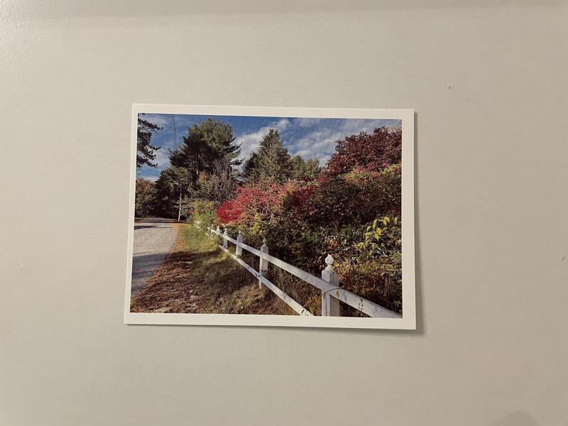 Gratitude for Maine Fall Note Card Set, card 3 with a Maine fall photo