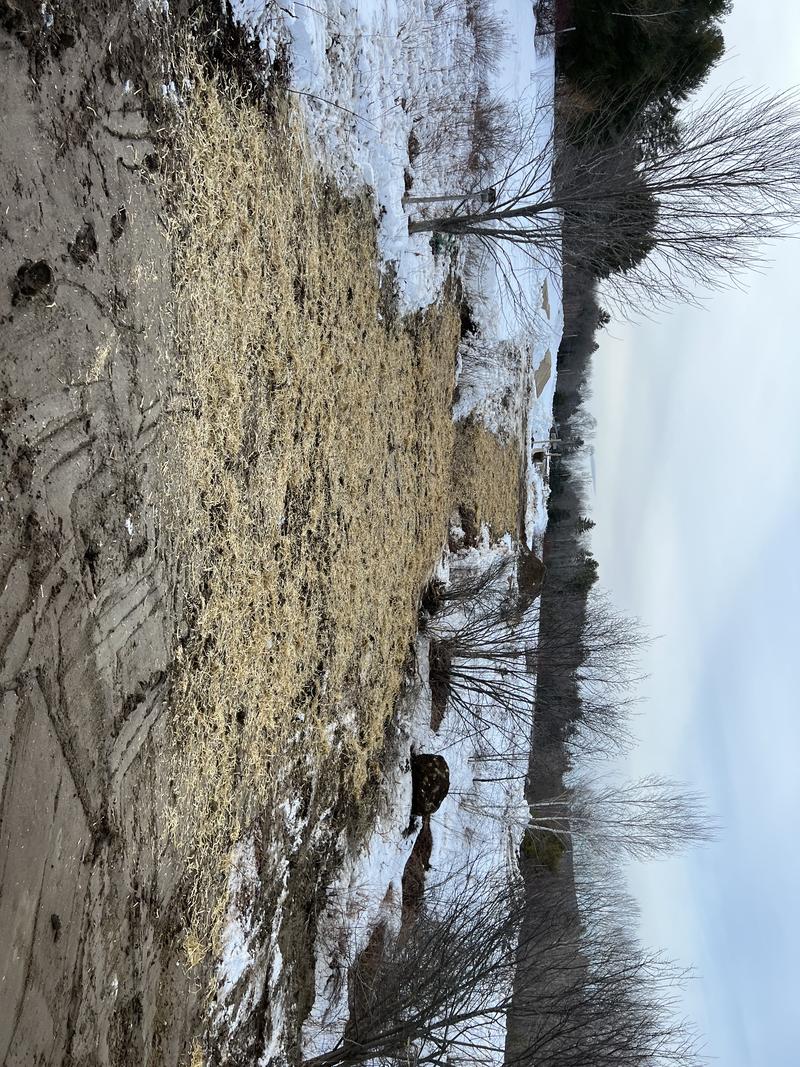 Driveway and parking lot