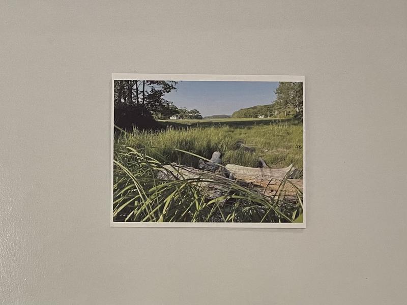 Gratitude for Maine Summer Note Card Set, card 6 with a Maine summer photo