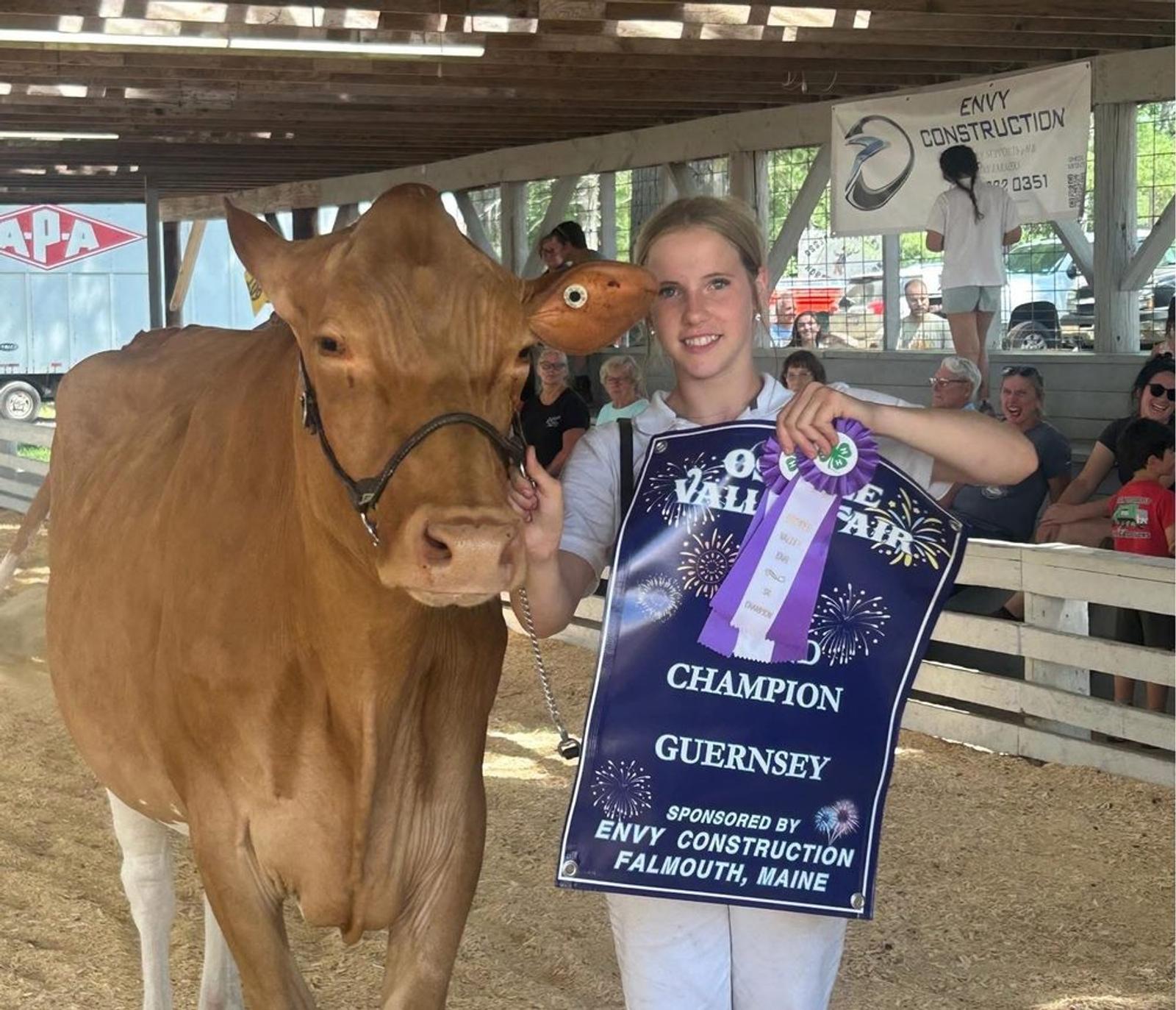 A 4-H exhibitor with her Grand Champion Guernsey and the Envy Construction sponsor sign at the 2026 Ossipee Valley Fair