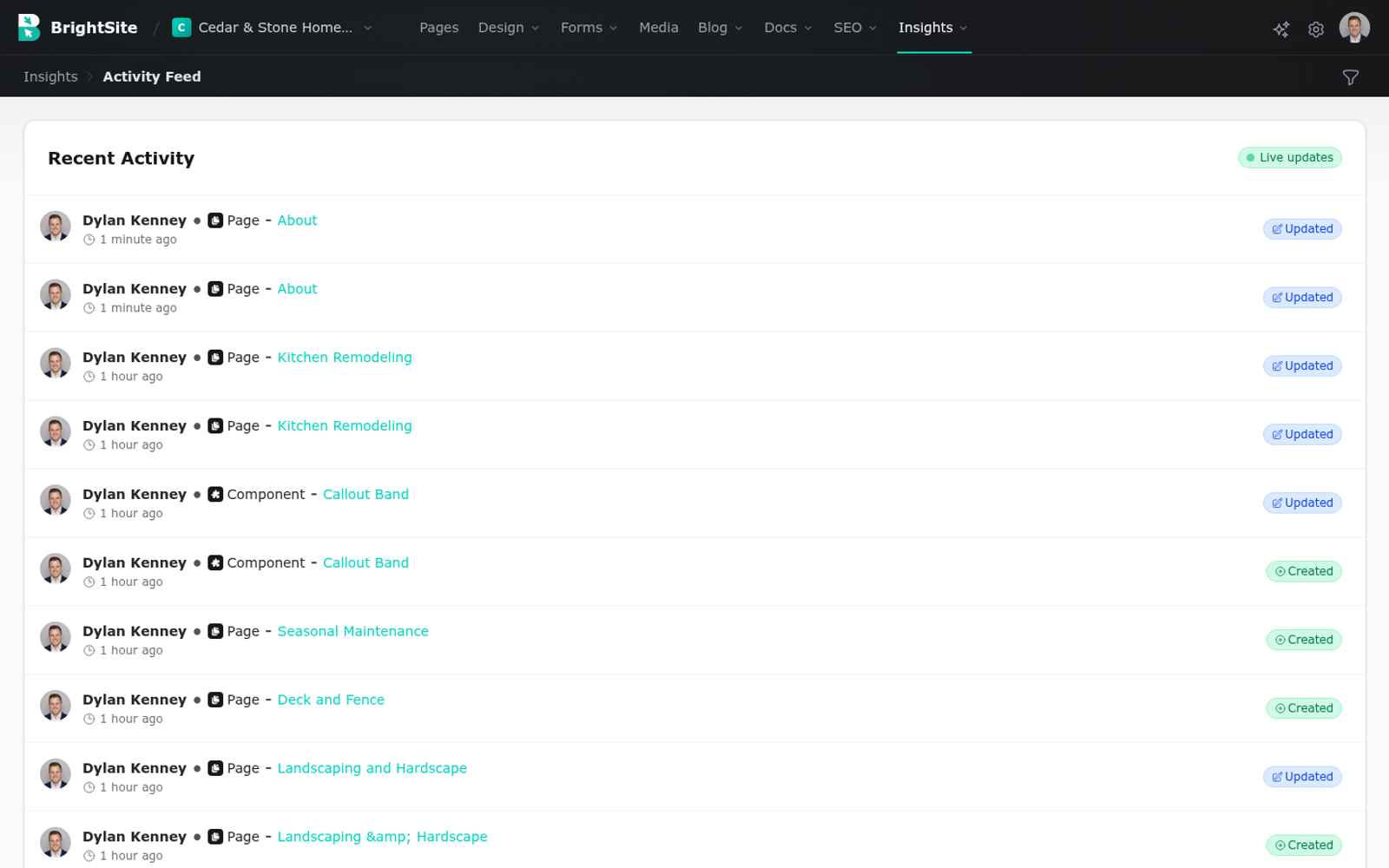 The activity feed, showing who changed what and when.