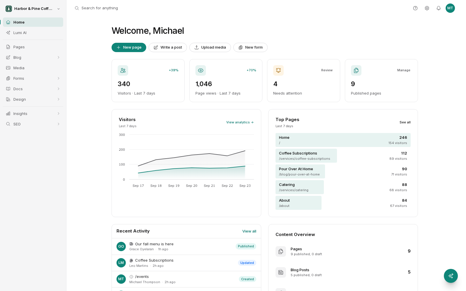 The BrightSite home dashboard with the left sidebar, quick buttons for a new page, post, upload or form, cards for visitors, page views, items needing attention and published pages, a visitors chart, top pages and recent activity.