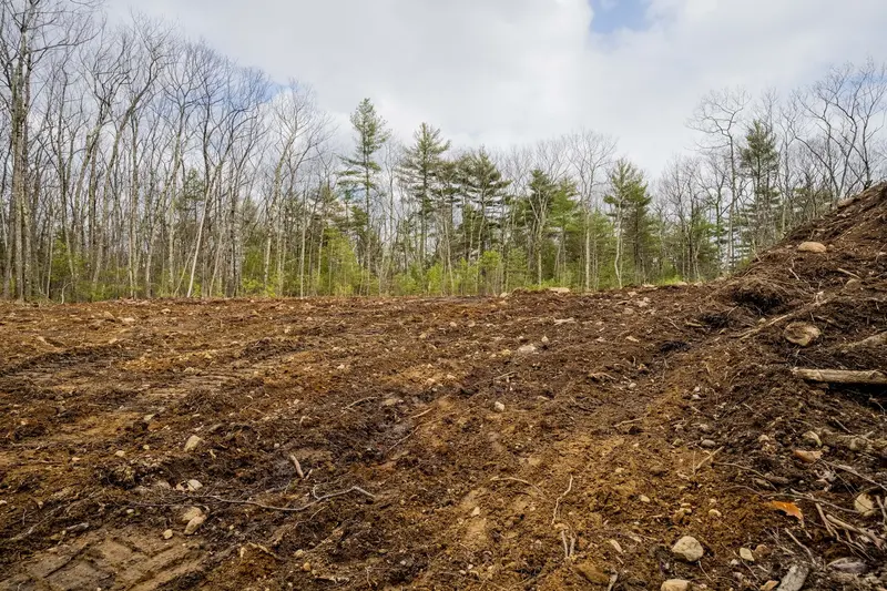 The Cornerstone Project