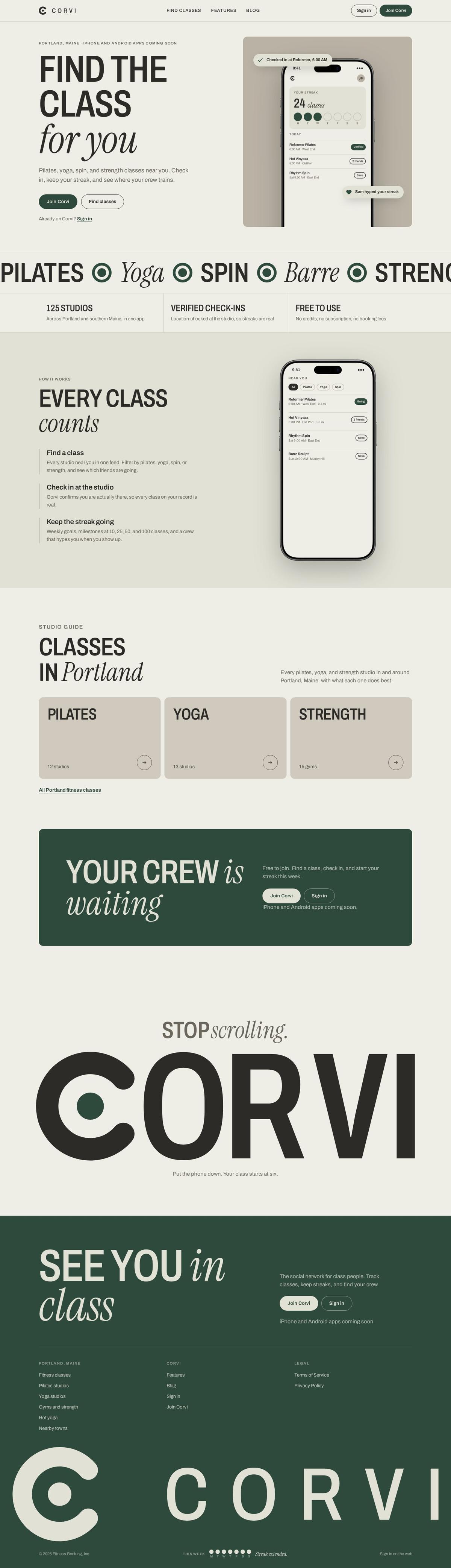 Corvi website, full page