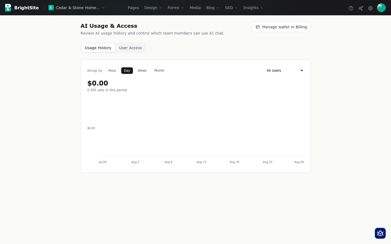 The AI usage and access screen, showing the wallet balance, usage over time and per-member access toggles.