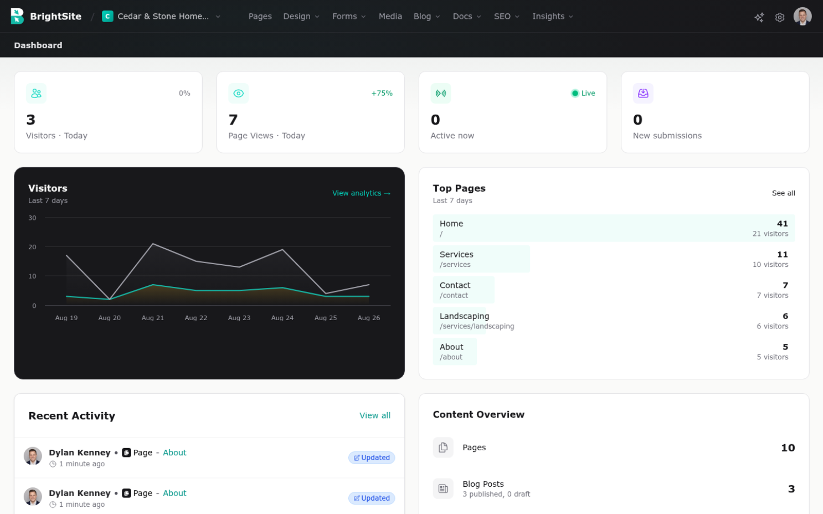 The BrightSite dashboard, showing visitor and page view counts, a visitors chart, top pages and recent activity.