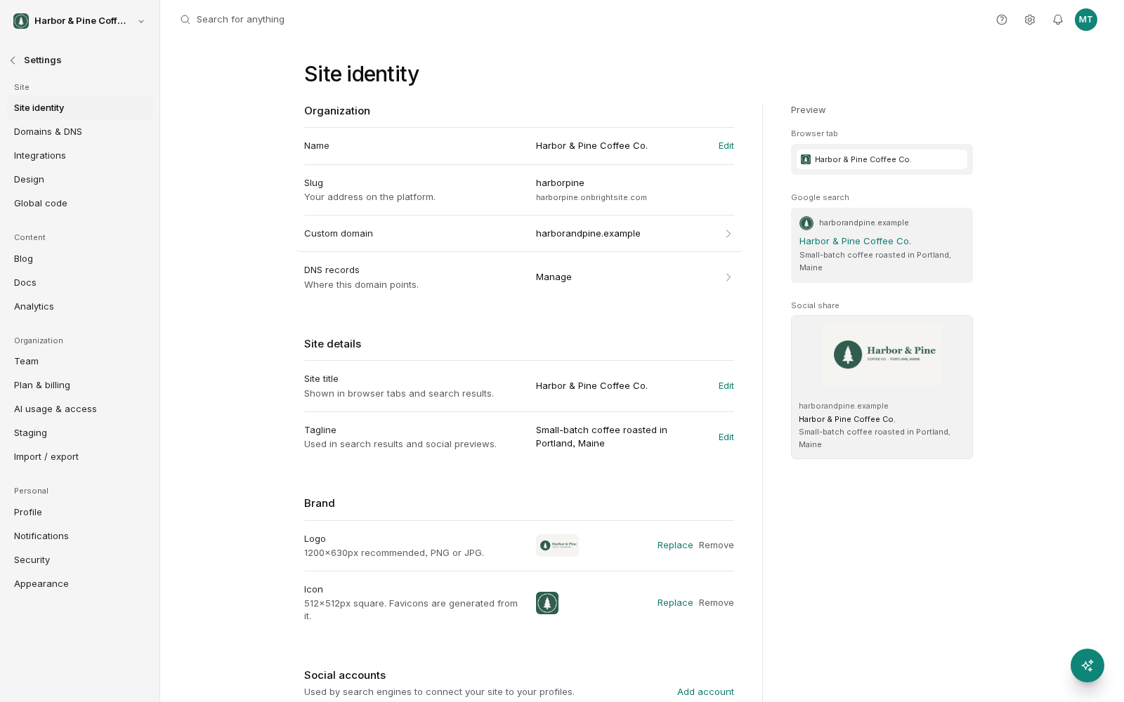 The Site identity settings screen. Organization shows the name, slug, custom domain and DNS records. Site details shows the site title and tagline, Brand shows the logo and icon with Replace and Remove links, and Social accounts has an Add account link. A Preview column on the right shows the site in a browser tab, a Google search result and a social share card.