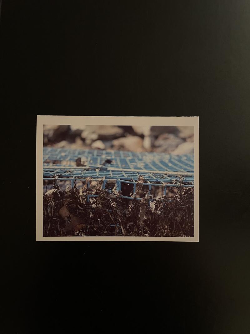 Gratitude for Maine Original Note Card Set, card 5 with a Maine photo
